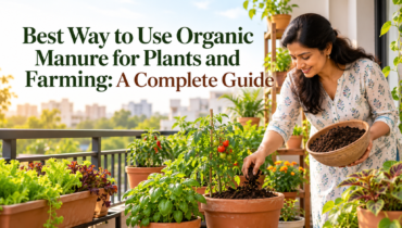 Best Way to Use Organic Manure for Plants and Farming: A Complete Guide