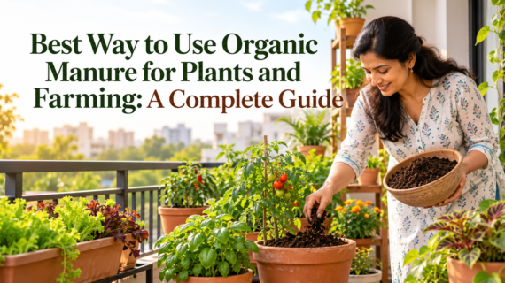 Best Way to Use Organic Manure for Plants and Farming: A Complete Guide
